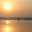 vishwa