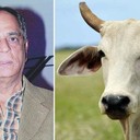 Stupidity Goes To Another Level: CBFC To Beep The Word “Cow” In Documentary Of Amartya Sen<br /><br />https://thelogicalindian.com/news/censor-board-cow-amartya-sen/<br /><br />The Indian Censor Board has now come up with words that cannot be used in a documentary made by Suman Ghosh, a professor of economics in Miami and a filmmaker, as reported by The Telegraph.