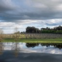 JULY WINE TASTINGS AND DEGUSTATIONS AT NSW PARLIAMENT HOUSE - CITY CENTREhttp://parliamentarycatering.com.au/menu/winedinners/6:30PM TO 10:30PM WEDNESDAY 05 JULY 2017 (MONTHLY EVENT)This year they are partnering with leading wineries from across NSW to host a series of wine dinners, showcasing the finest wine and produce that their state has to offer!This is a unique opportunity to access the exclusive dining rooms at NSW Parliament House for a night of fine dining and culture. Meet awarded wine makers from across the state whilst enjoying a degustation menu that is perfectly paired with premium wines.There are seven events scheduled for 2017 to be held at NSW Parliament House and throughout the month of July:Saturday July 15- with Brokenwood Winery, Hunter Valley ;Saturday July 22 - with Shaw Vineyard Estate, Canberra;Saturday July 29 - with Tertini Wines, Southern Highlands.