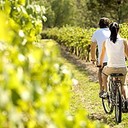 ROMANTIC HOLIDAY::||--::<br /><br />Hunter Valley::--::<br /><br />Hunter Valley is also known as wine country, so anyone partial to a drop of red, white or anything in between should add this to their romantic itinerary. Stop in to some of the more than 150 wineries, vineyards and cellar doors to sip on Semillon, Chardonnay and Shiraz like you've never tasted before. These are the wines the region is most renowned for, but there's plenty of others to enjoy during your stay. Take a tour through the wine regions of Pokolbin, Wollombi, Broke, Lovedale and Maitland, enjoying some of the top-tier restaurants and fresh local produce, such as cheeses and olive oils, as you go.