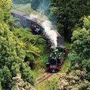 Yarra Valley Wineries and Puffing Billy Steam Train Day Tour from Melbourne <br /><br />Highlights<br />Full-day tour to the Dandenong Ranges, Puffing Billy Steam Train, and Yarra Valley, from Melbourne<br />Have morning tea in the picturesque Dandenongs and hand-feed native birds<br />Ride Australia's oldest steam train, the Puffing Billy Steam Train, through the rainforest in the Dandenongs<br /><br />Escape to the country with this delightful day trip from Melbourne. After morning pickup at Federation Square or your Melbourne hotel, relax in a comfortable air-conditioned coach as the urban bustle gives way to unspoiled greenery (see Hotel Pickup tab and Itinerary for more details).<br /><br />After a 25-mile (40-km) drive to the Dandenong Ranges, stop at Grants Reserve mountain café for a midmorning Aussie ‘billy’ tea complete with Vegemite and lamington cake. Feed and observe some of the native bird species, including cockatoos and crimson rosellas. <br /><br />At the neighboring outpost of Belgrave, climb aboard the well-preserved Puffing Billy steam train — the oldest in Australia. Enjoy fresh mountain air as you chug along through the lovely Sherbrooke Forest toward Menzies Creek.<br /><br />After your ride, hop back on the coach for a 1-hour drive to the Yarra Valley — Victoria’s beloved wine region. Stop at Rochford Winery where you can enjoy an optional 2-course lunch with a wine pairing or purchase a meal at the onsite café. Visit three other charming wineries for cellar door tastings of the Yarra Valley’s cool-climate varietals, including chardonnay, pinot gris, pinot noir and shiraz. <br /><br />Your tour will conclude with the return drive to Melbourne, where you’ll be dropped off at your original departure point.