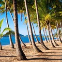 Cairns<br />Head north to Cairns and enjoy some good old fashioned outdoor fun. Hire a bicycle from Cairns Scooter and Bicycle Hire in the city, and enjoy the fine dry weather with your loved ones. Grab some maps and get ideas for places to go, and ask about baby seats if you have little ones travelling with you. Introduce your family to fishing at the Cairns marina, where you can set up some deck chairs and cast out a line, all without paying a cent.